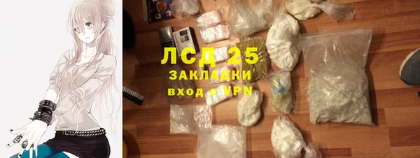 стаф Осташков