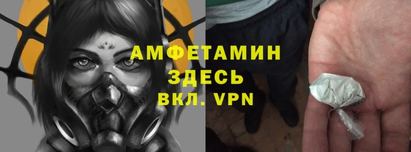 крисы Осинники