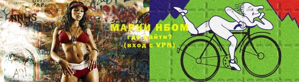 крисы Осинники