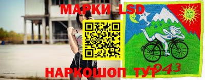 гидропоника Балахна