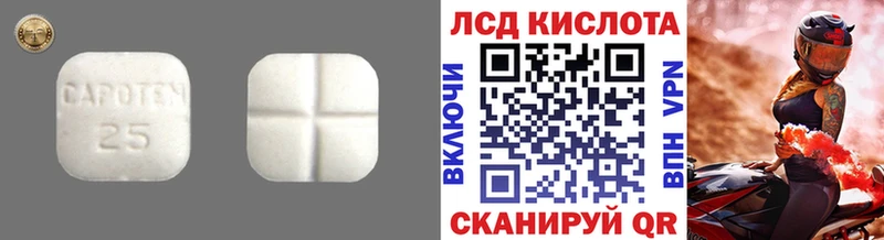 МЕГА зеркало Кингисепп маркетплейс состав LSD-25 экстази кислота