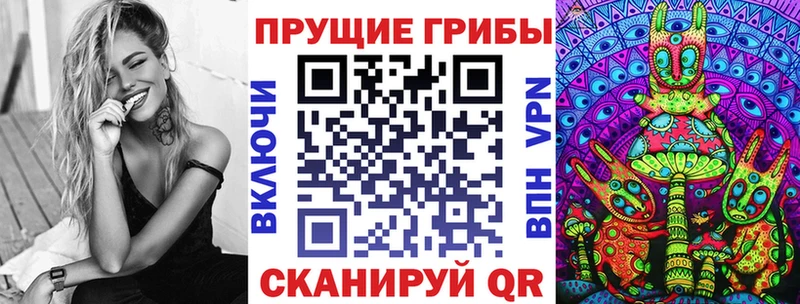 blacksprut ссылка  Кингисепп  Псилоцибиновые грибы мицелий 
